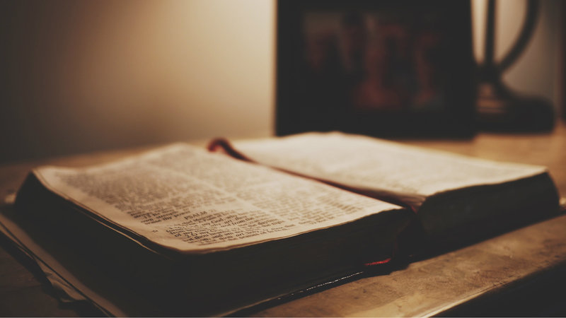 Bible Intake Is Not a Hot Dog Eating Contest