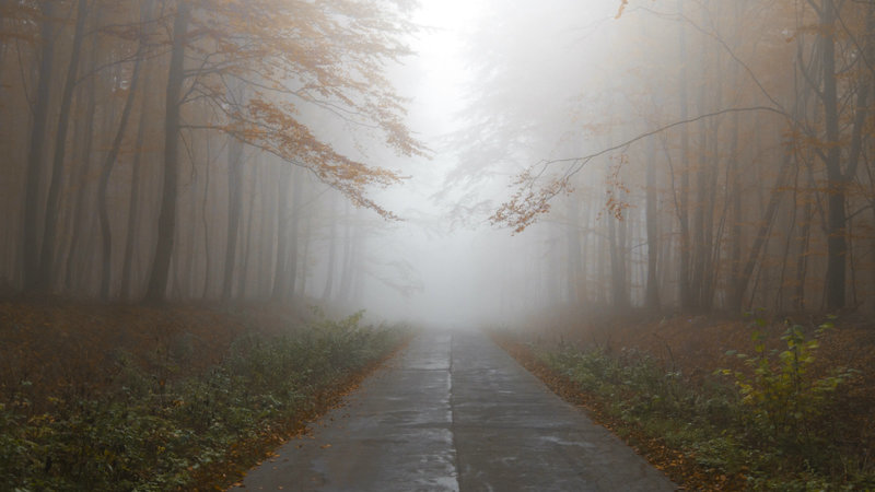 Fight Anxiety Without Fear