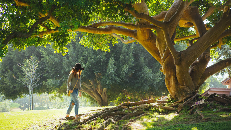 Good Living Is Rooted in Good Theology