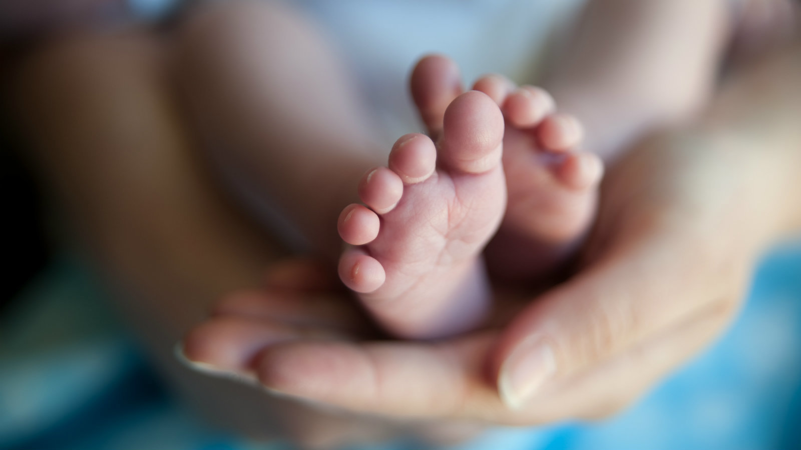 From Medical Doctor to Stay-at-Home Mom