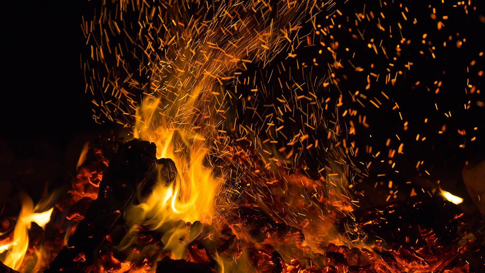 Prepare for Suffering Now