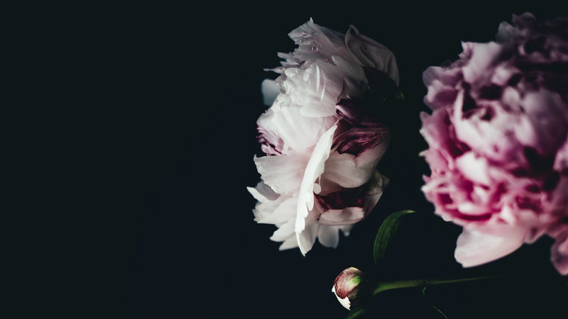 The End of Discontentment