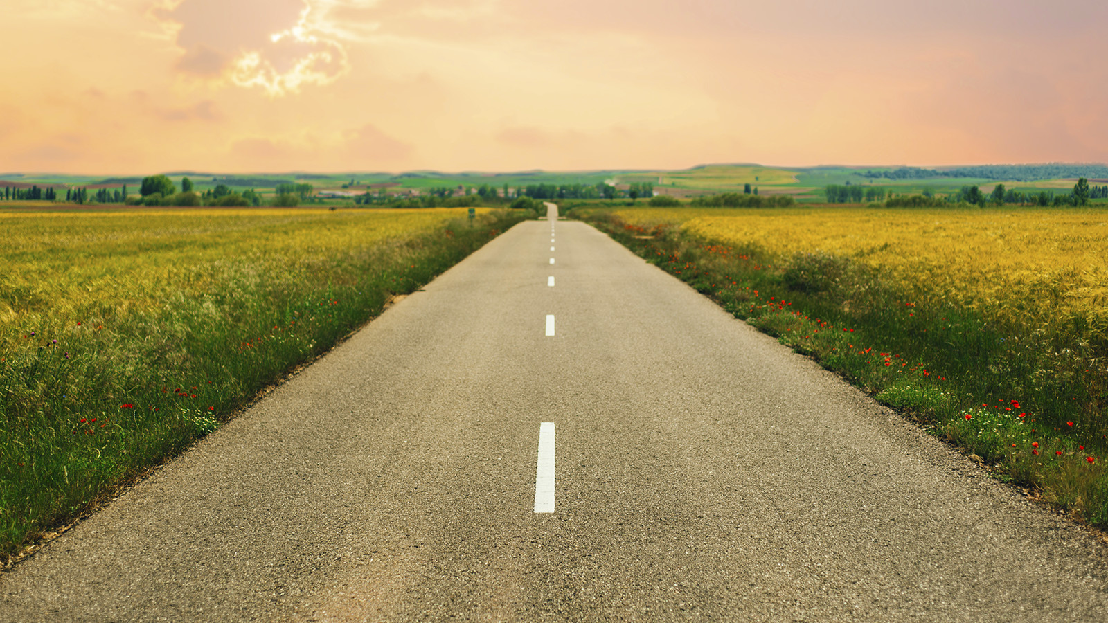 Three Steps to Stop Wasting Your Life