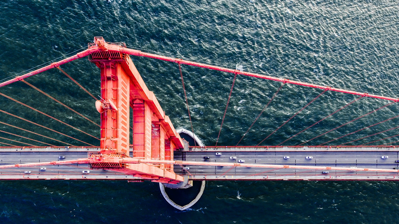 Unexpected Answers to Our Biggest Questions