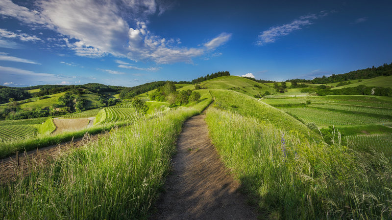 Walk Ground Zero of God’s Will