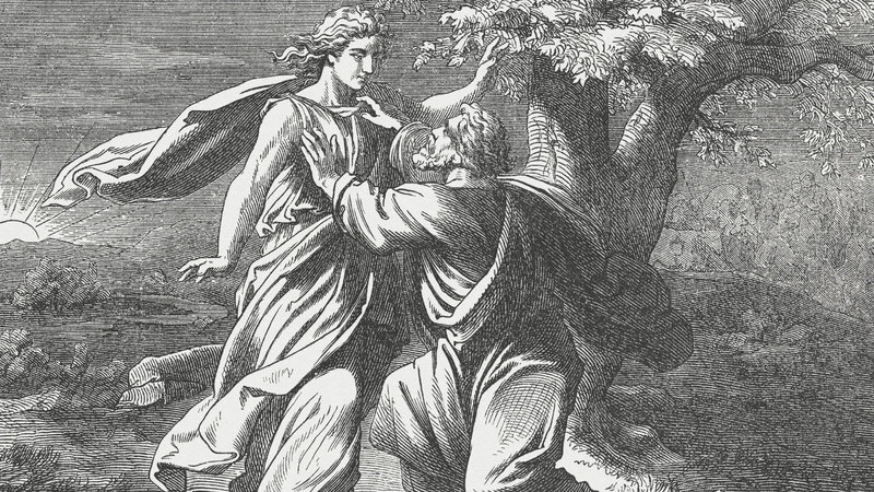 Will You Wrestle with God?