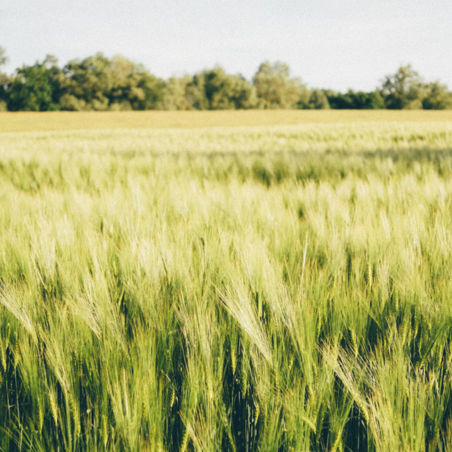Your First Breath After Death