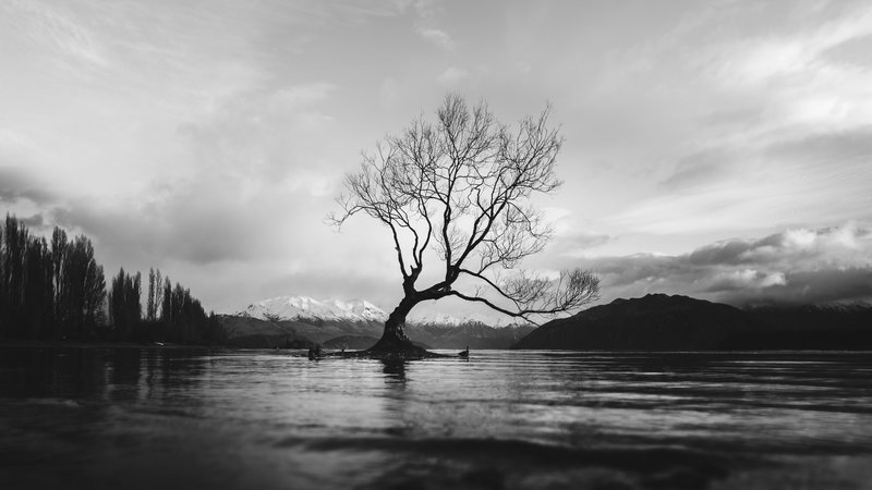 A Savior Stepped Forward