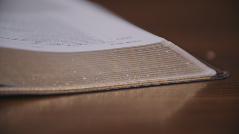How Do We Fail in Bible Reading?