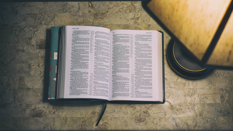 Reading Is Just the Beginning