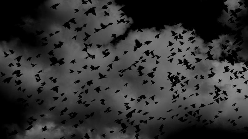 The Haunting Problem of Pain