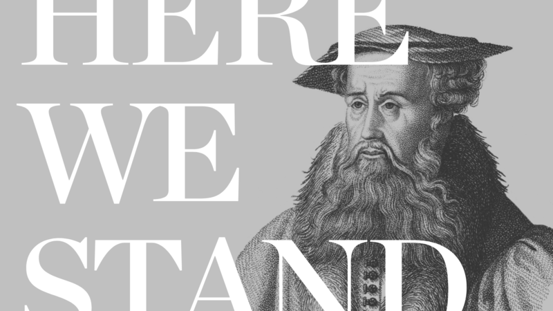 The Majestic Beard of Zurich