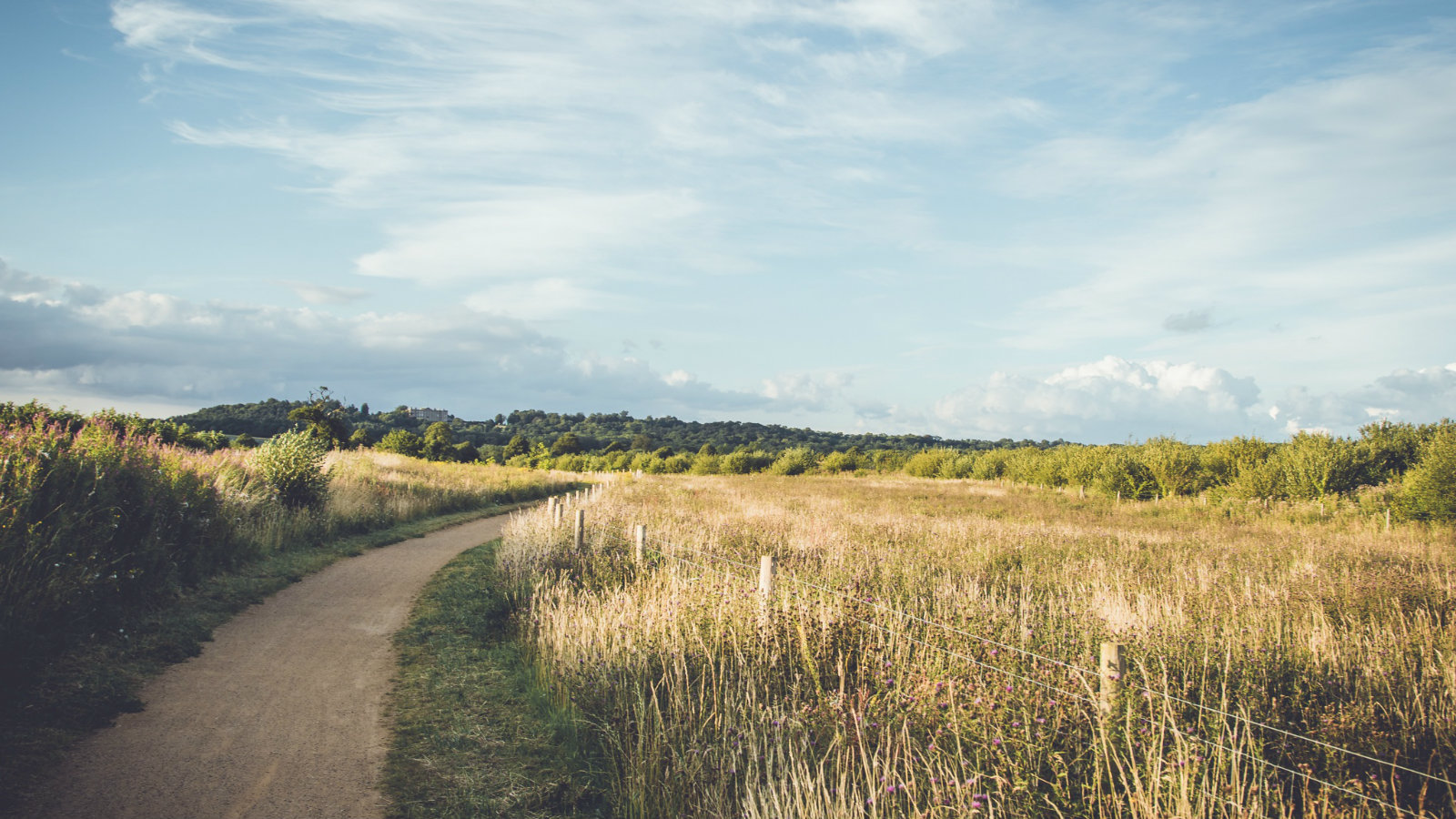 the-root-of-mental-health-desiring-god