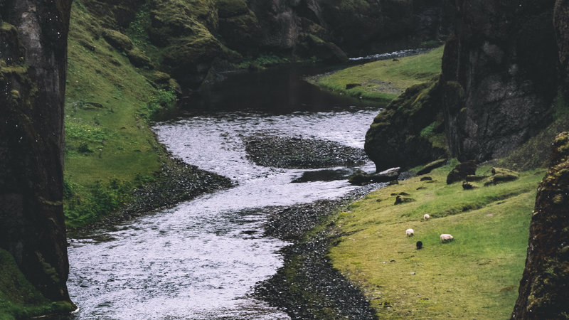 Watch A Shepherd Of Pure Heart Download Full